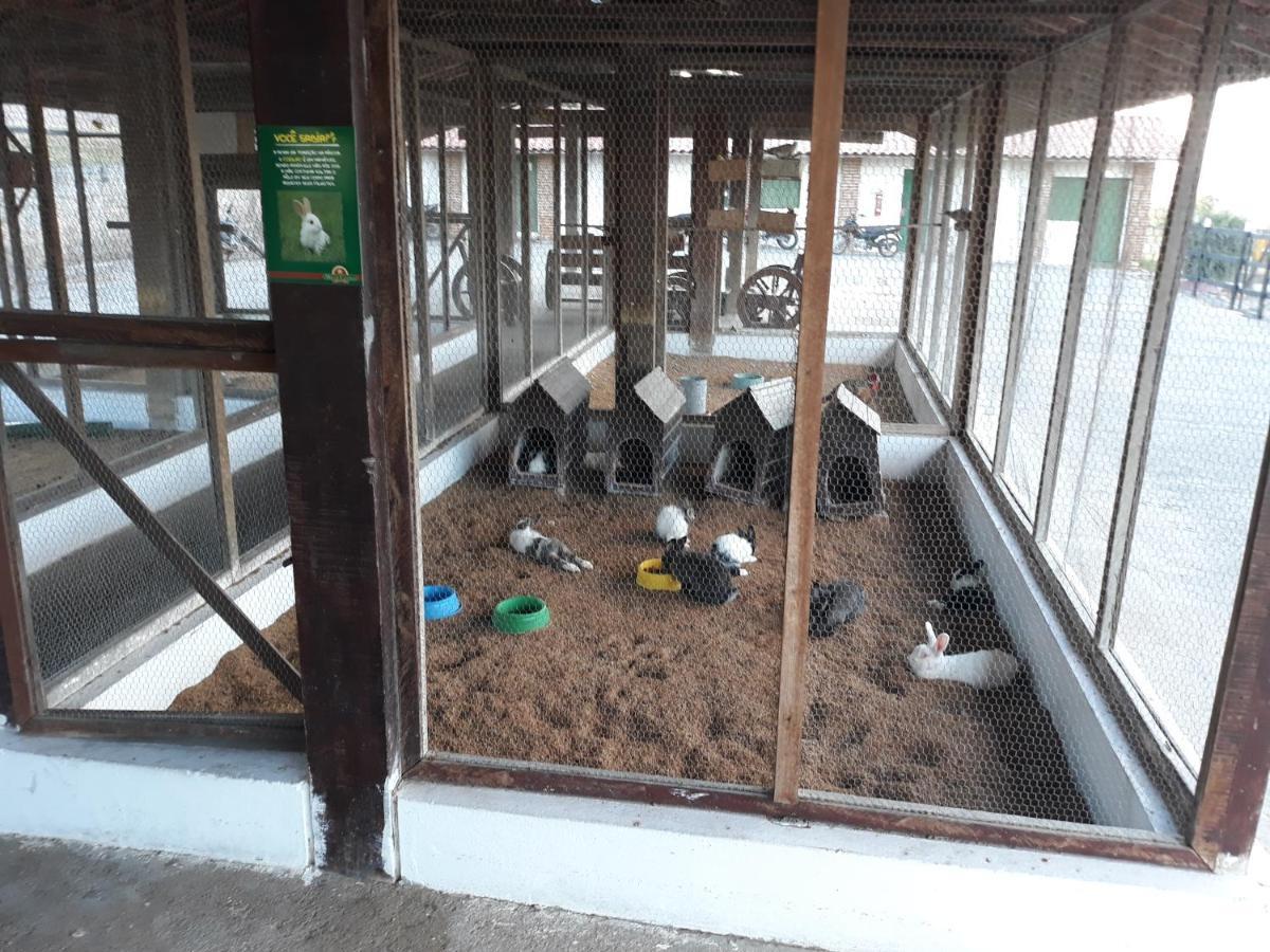 Flat Monte Castelo Gravata Modulo 17 Apart otel Dış mekan fotoğraf